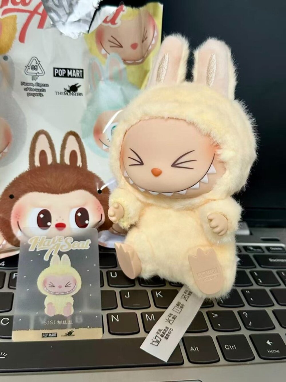 Labubu2.0 have a seat series Confirmed box SISI